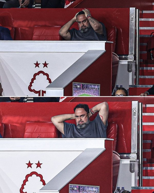 想刀一个人的眼神！澳波1胜难求，森林老板船王死亡凝视+抱头怒